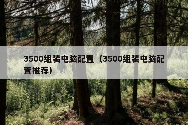 3500组装电脑配置（3500组装电脑配置推荐）