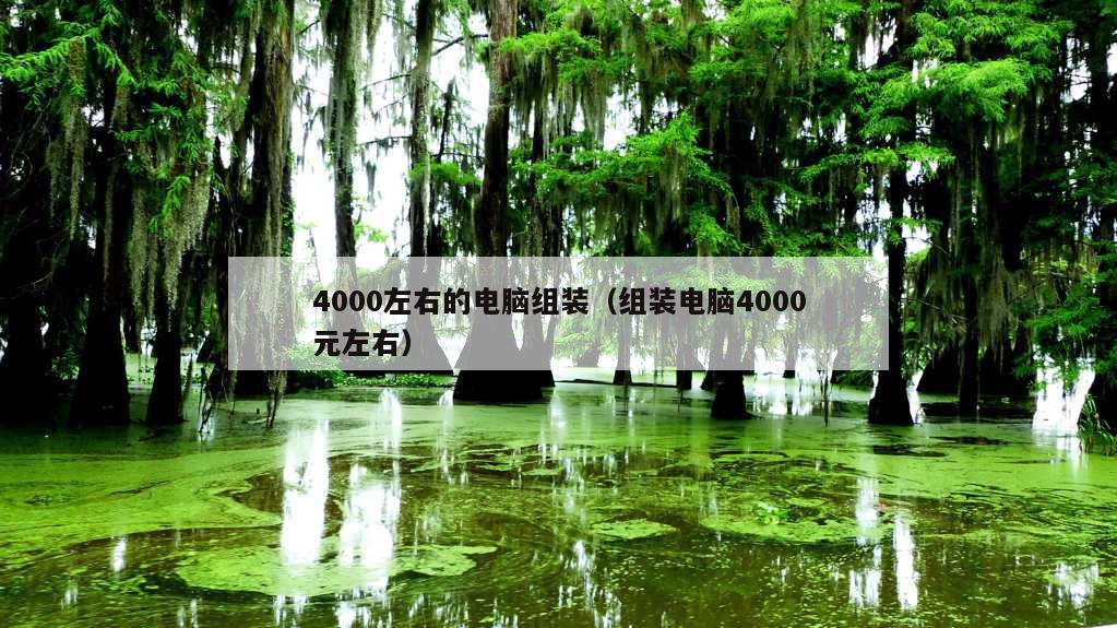 4000左右的电脑组装（组装电脑4000元左右）