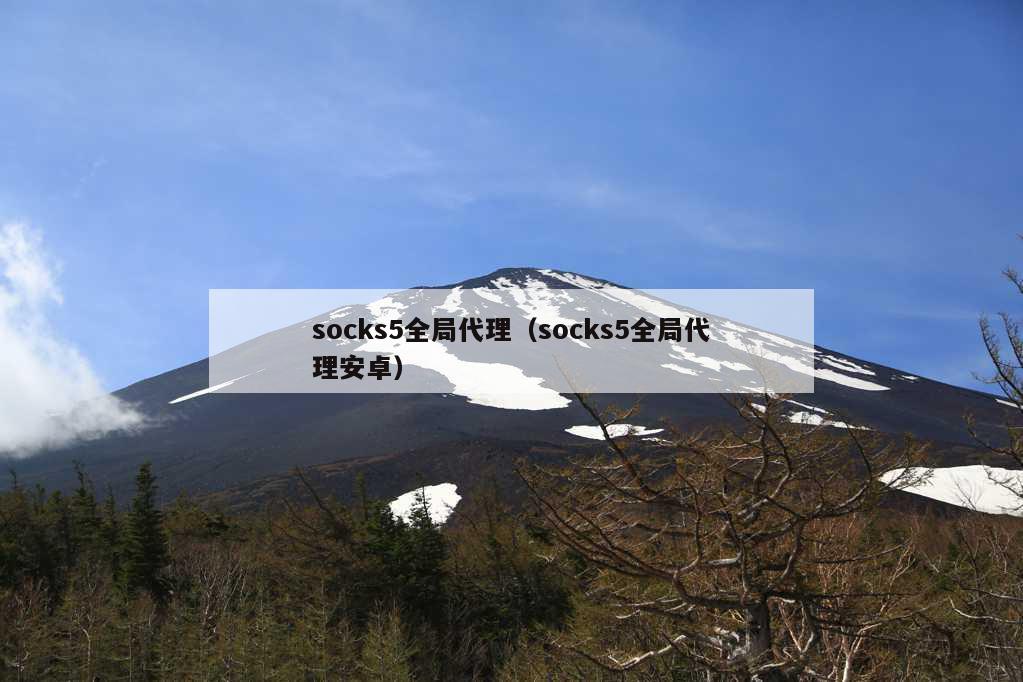 socks5全局代理（socks5全局代理安卓）