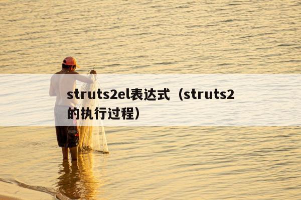 struts2el表达式（struts2的执行过程）