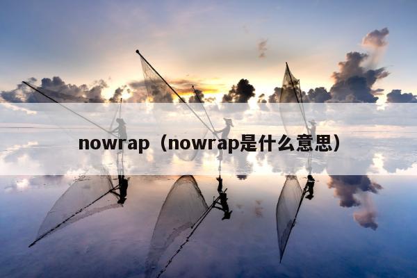 nowrap（nowrap是什么意思）