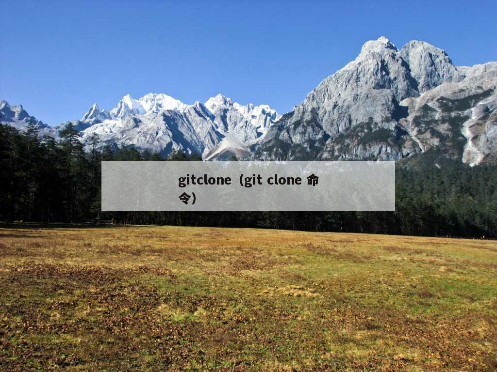 gitclone（git clone 命令）