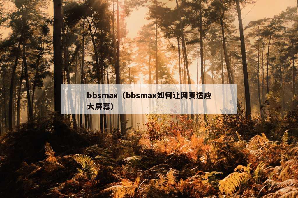 bbsmax（bbsmax如何让网页适应大屏幕）