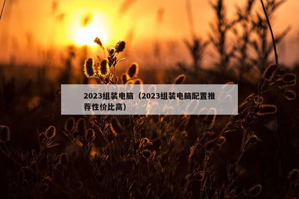 2023组装电脑（2023组装电脑配置推荐性价比高）