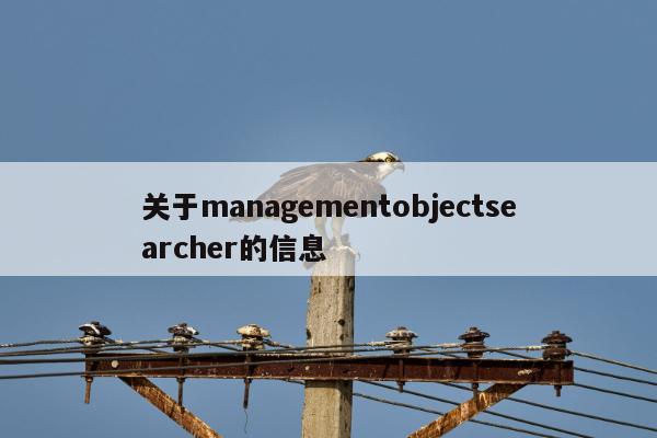 关于managementobjectsearcher的信息