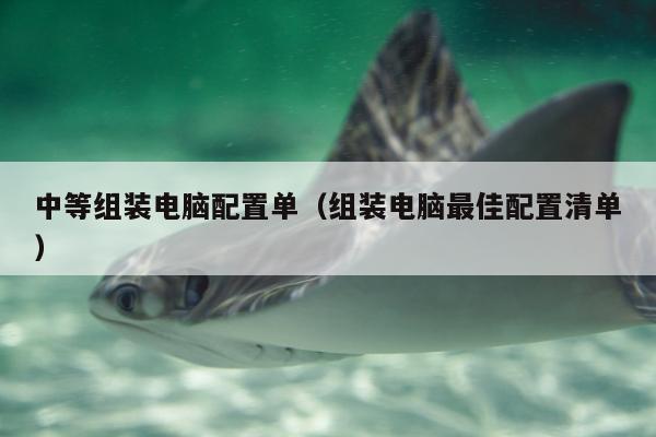 中等组装电脑配置单（组装电脑最佳配置清单）