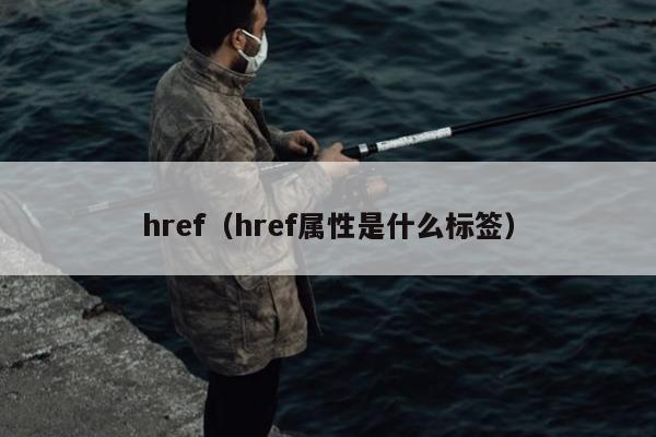 href（href属性是什么标签）