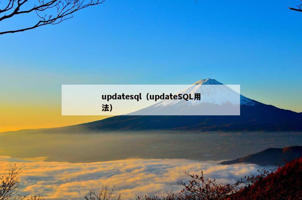 updatesql（updateSQL用法）