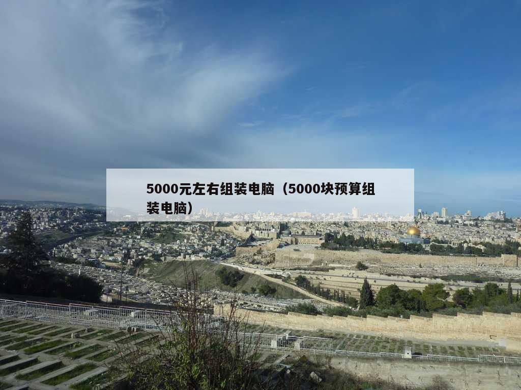 5000元左右组装电脑（5000块预算组装电脑）