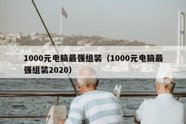 1000元电脑最强组装（1000元电脑最强组装2020）