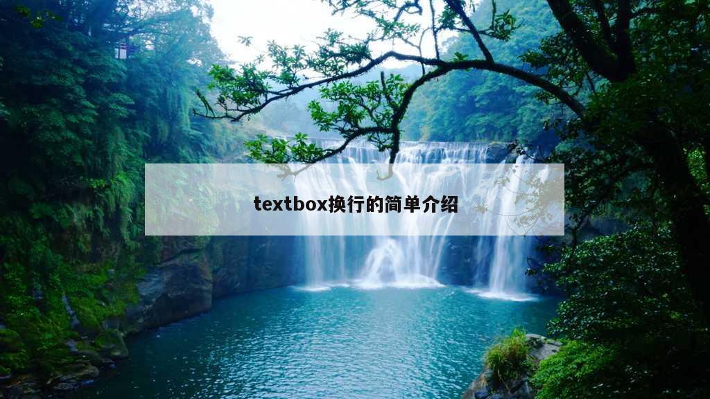 textbox换行的简单介绍