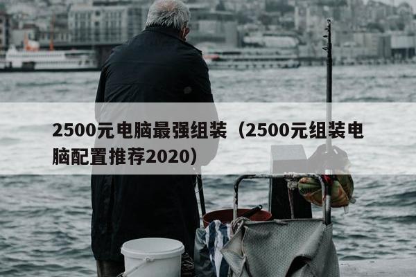 2500元电脑最强组装（2500元组装电脑配置推荐2020）