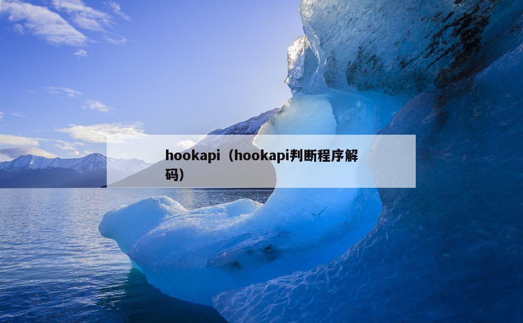 hookapi（hookapi判断程序解码）