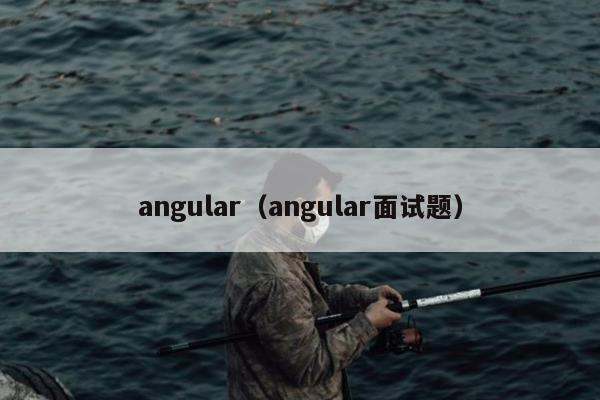 angular（angular面试题）