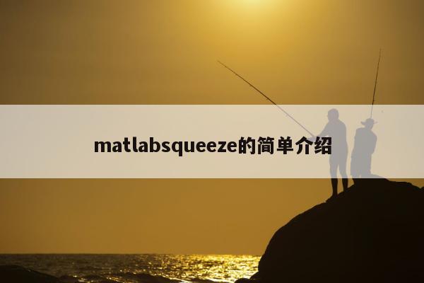 matlabsqueeze的简单介绍