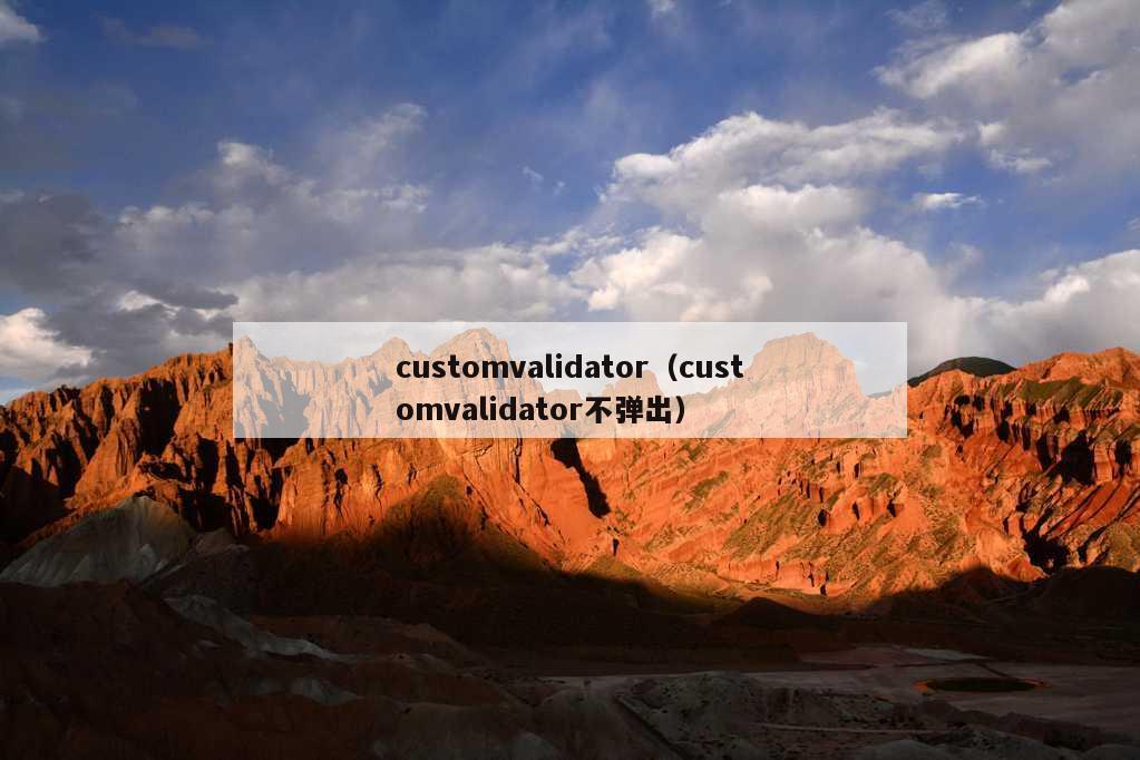 customvalidator（customvalidator不弹出）