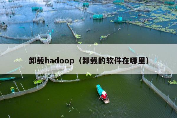 卸载hadoop（卸载的软件在哪里）