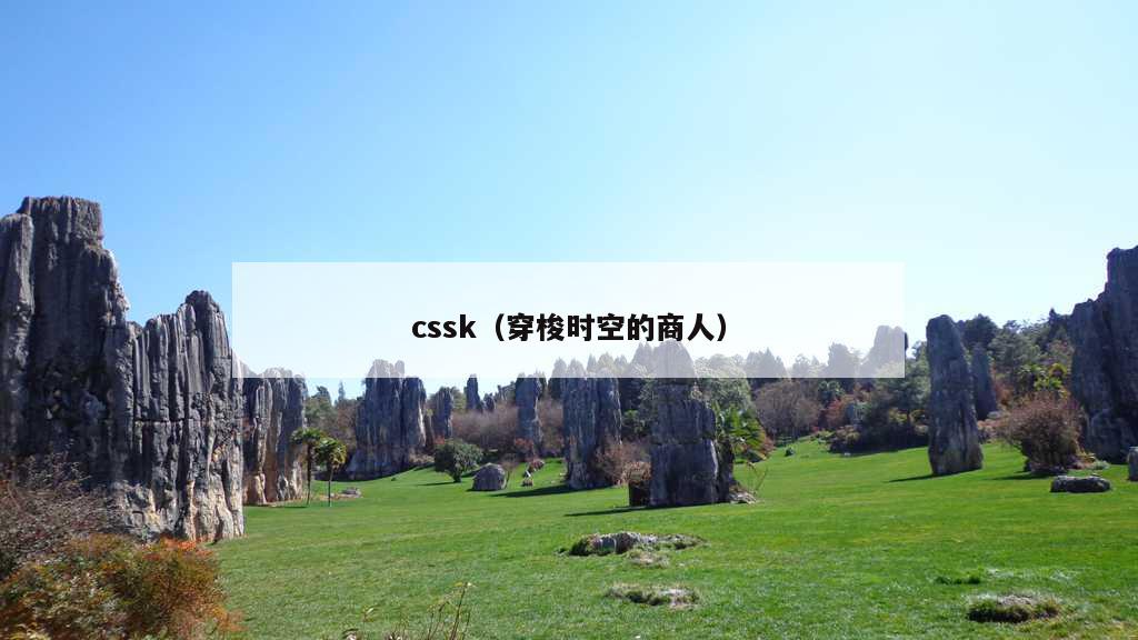 cssk（穿梭时空的商人）